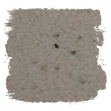 M31
